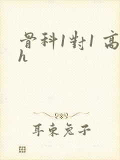 骨科1对1 高h