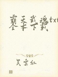 霸天武魂txt全本下载
