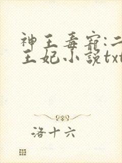 神王毒宠:二嫁王妃小说txt