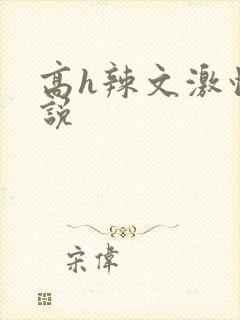 高h辣文激情小说封面