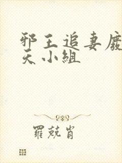 邪王追妻废材逆天小组
