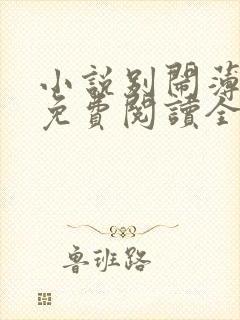 小说别闹薄先生免费阅读全文无窗口