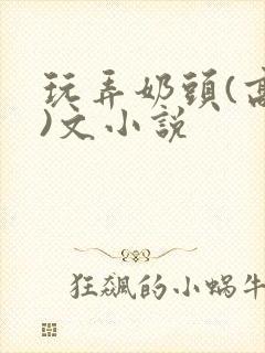 玩弄奶头(高h)文小说