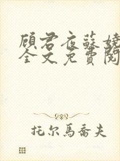 顾君夜苏娆小说全文免费阅读最新章