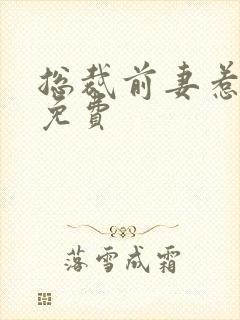 总裁前妻惹人爱免费封面