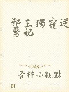 邪王独宠逆天小医妃