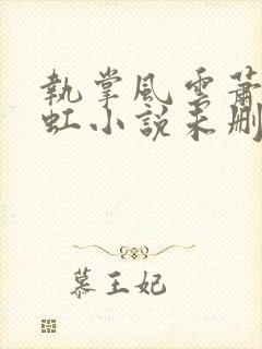 执掌风云萧峥陈虹小说未删版全文封面