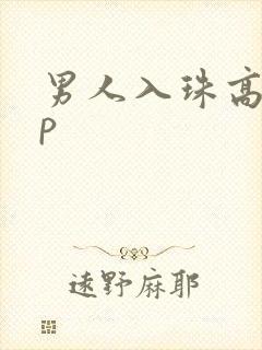 男人入珠高hnp封面