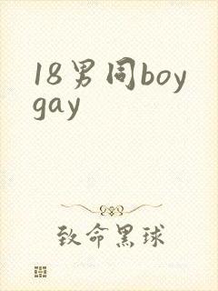 18男同boygay