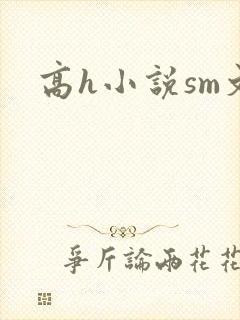 高h小说sm文