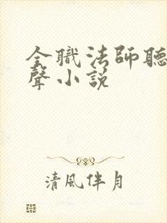 全职法师听书有声小说