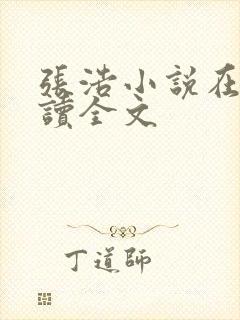 张浩小说在线阅读全文
