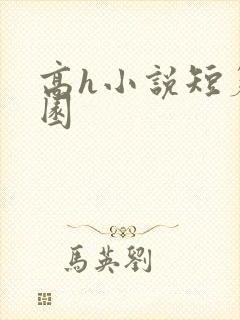 高h小说短篇校园封面