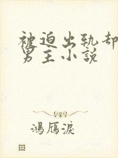 被迫出轨却上瘾男主小说封面