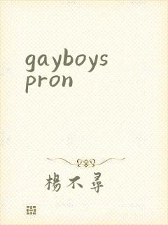 gayboyspron封面