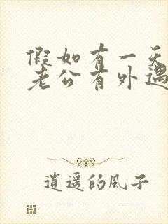 假如有一天发现老公有外遇老婆怎么办封面