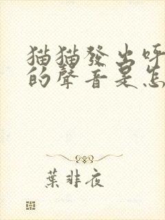 猫猫发出呼噜噜的声音是怎么回事