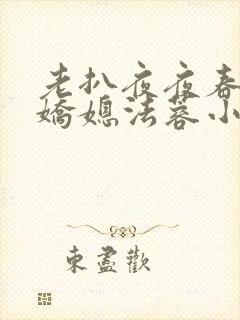 老扒夜夜春宵伴娇媳法蓉小说封面
