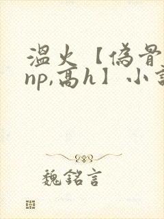 温火【伪骨科,np,高h】小说