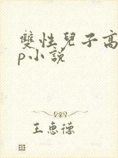 双性儿子高hnp小说