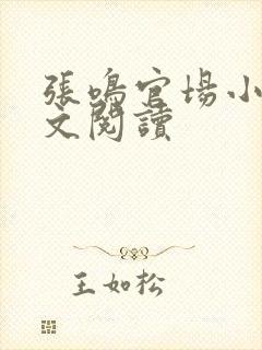 张鸣官场小说全文阅读