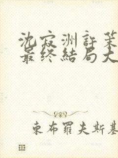 沈寂洲许茉孟姣最终结局大结局