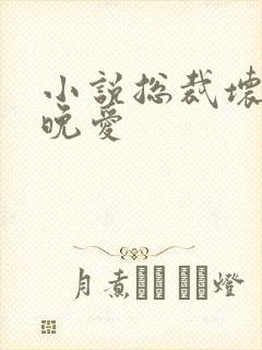 小说总裁坏坏晚晚爱