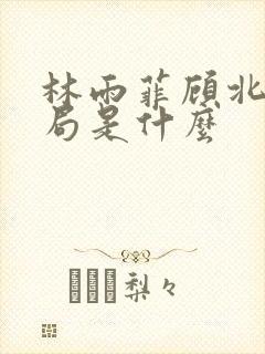 林雨菲顾北潇结局是什么