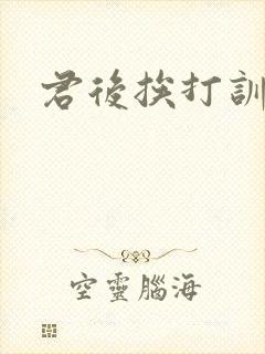 君后挨打训诫文封面
