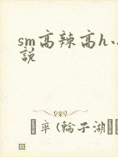 sm高辣高h小说