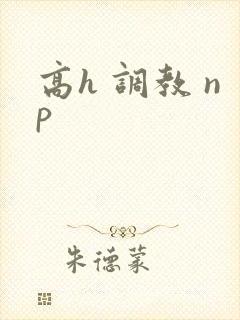 高h 调教 np