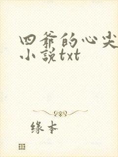 四爷的心尖宠妃小说txt封面