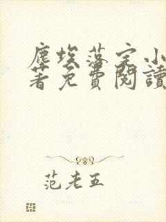 尘埃落定小说原著免费阅读