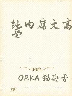 纯肉腐文高h总受封面