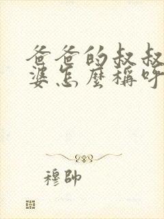 爸爸的叔叔的老婆怎么称呼封面