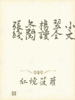 张冬杨翠小说在线阅读全文