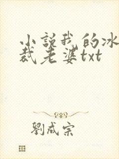 小说我的冰山总裁老婆txt