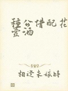 种公借配花间一壶酒封面