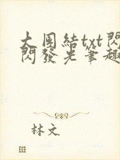 大团结txt闪闪发光笔趣阁