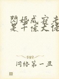 闪婚成宠老公竟是千亿大佬封面