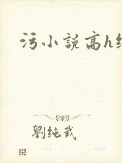污小说高h纯肉封面
