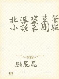 北派盗墓笔记 小说未删版全文