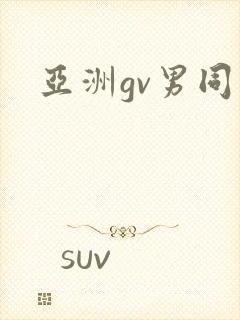 亚洲gv男同