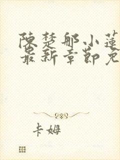 陈楚那小莲小说最新章节免费阅读