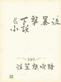 《下击暴流》 小说