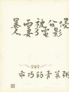 暴雨被公侵犯的人妻3电影