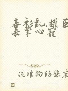 春衫乱,权臣兄长掌心宠