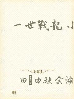 一世战龙 小说