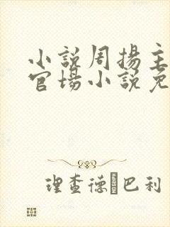 小说周扬主角的官场小说免费阅读封面