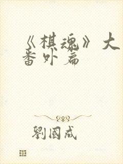 《棋魂》大结局番外篇